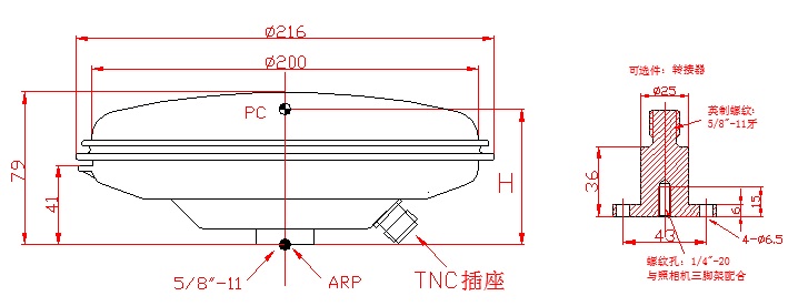 216.jpg